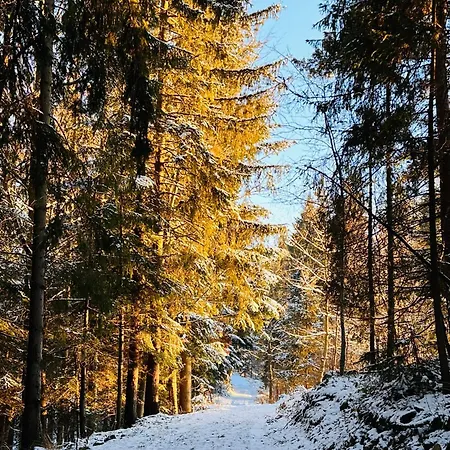 Bed & Breakfast Endorfina Muszyna