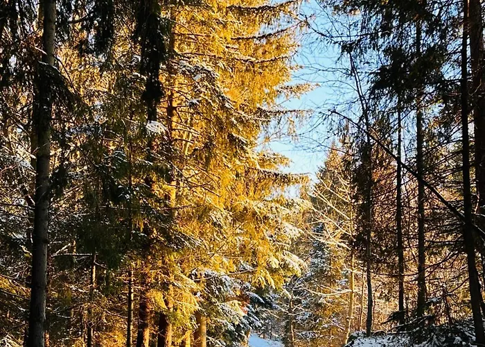 Panzió Endorfina Muszyna