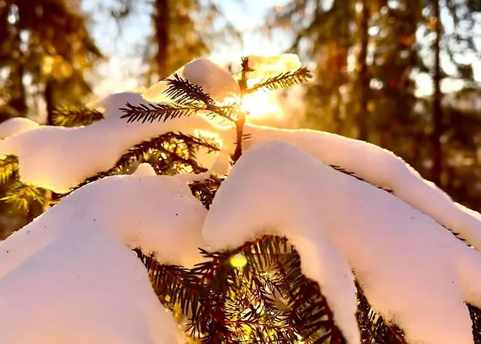 Nocleg ze śniadaniem Endorfina